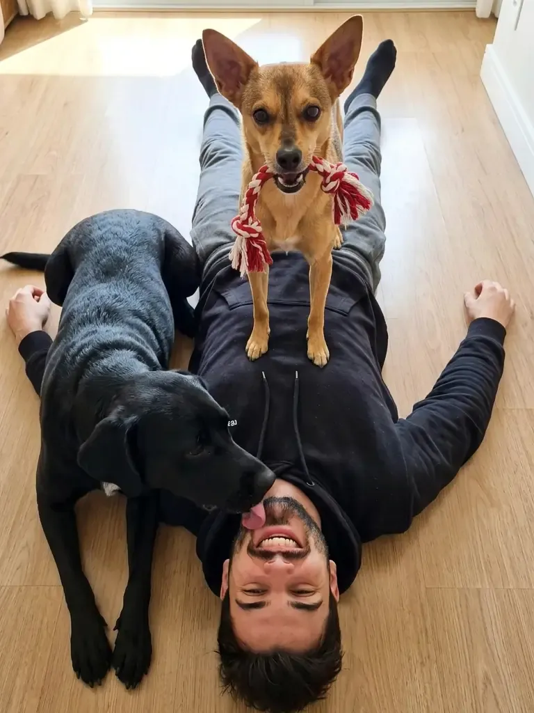 Laures lying on his back on a wooden floor, Ritalino sprawled across him and Sky standing on his legs