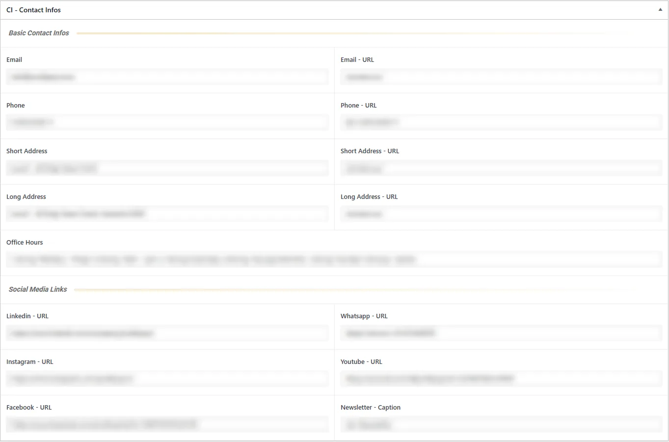 The contact details options page: labelled fields in two columns — email, phone, addresses, office hours and social links — with their values blurred